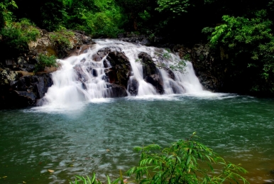 {Tour ghép đoàn} Tour Yangbay trọn gói đón tại khách sạn [ 1 ngày + ăn trưa + xe đưa đón]